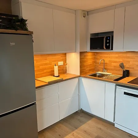 Apartment T3 Cosy Refait A Neuf Avec Vue Et Montagnes Et Avec Garage *